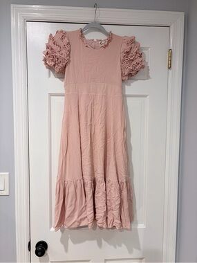 Mia Joy Girls Pink Ruffle Sleeve Dress – Size 10